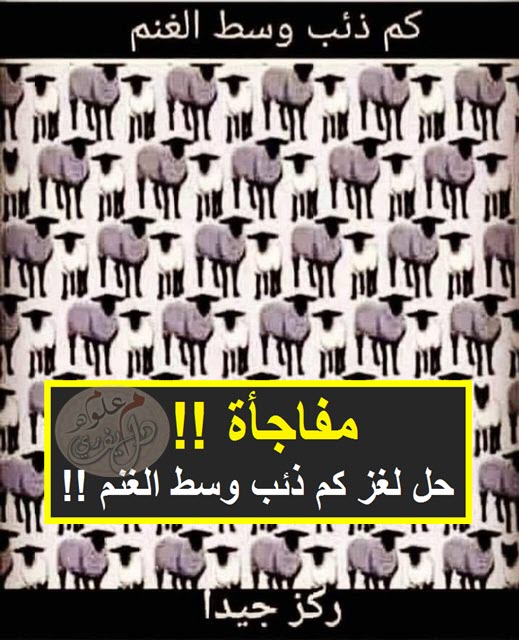 كم ذئب وسط الغنم