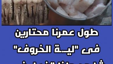 لية الخروف