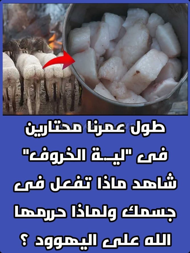 لية الخروف