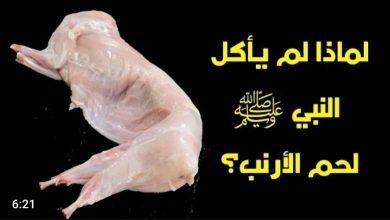 لماذا لم يأكل النبي صلى الله عليه وسلم لحم الأرنب!!؟