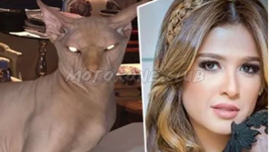 قطة ياسمين عبدالعزيز