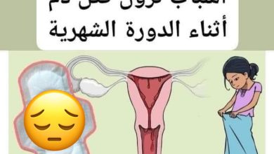 الدورة الشهرية