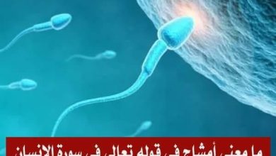 معنى كلمة أمشاج