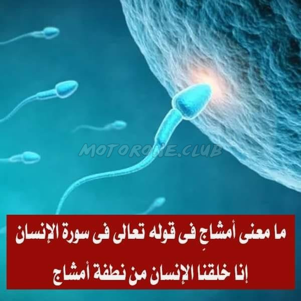معنى كلمة أمشاج