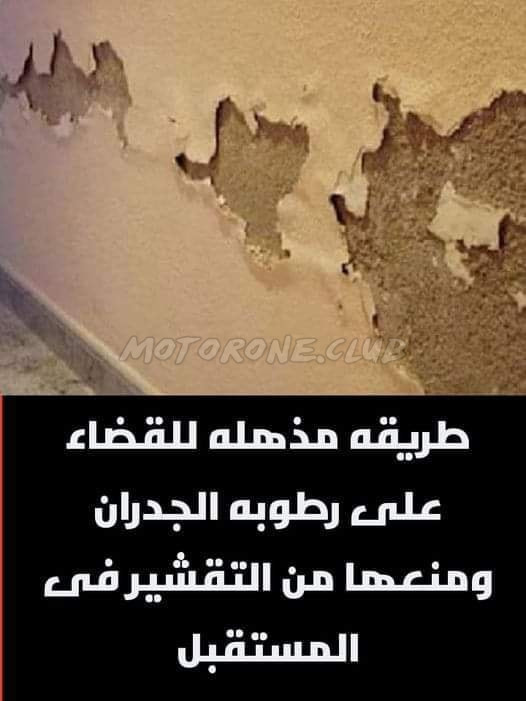 رطوبة الجدران