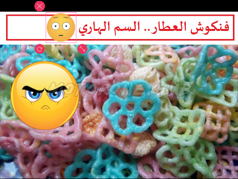 فنكوش العطار