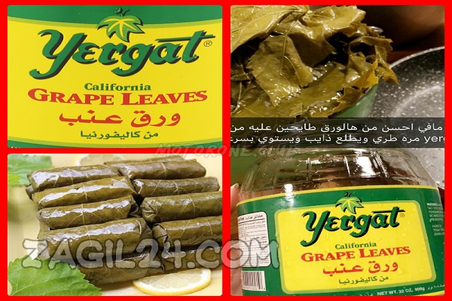 ورق عنب يرقات