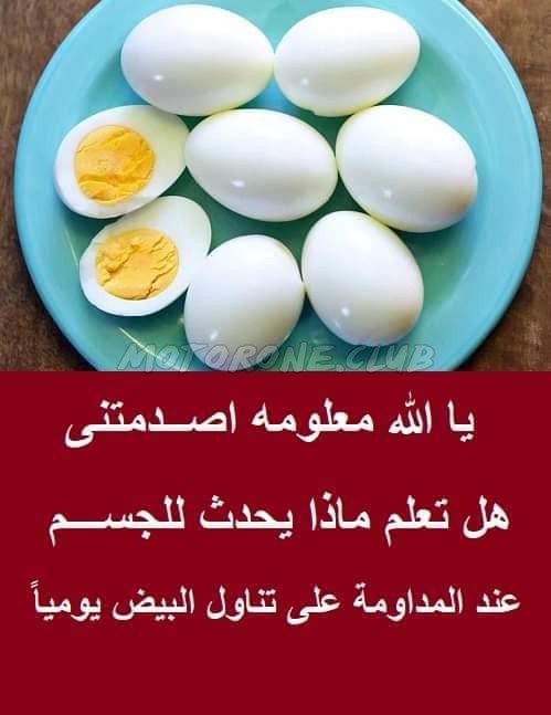 تناول البيض