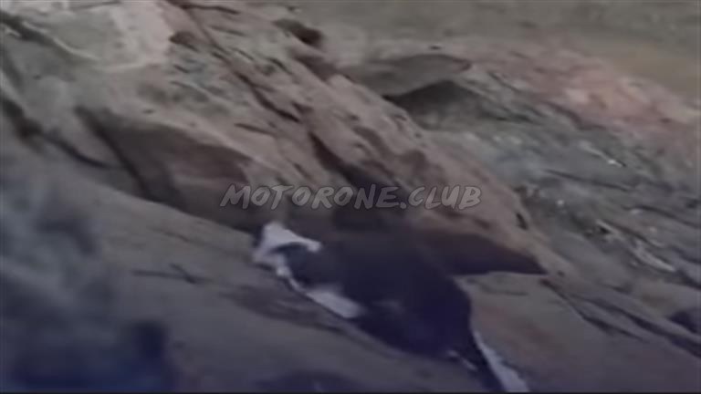 قرد يسرق ملابس الحجاج