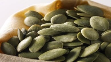 بذور اليقطين