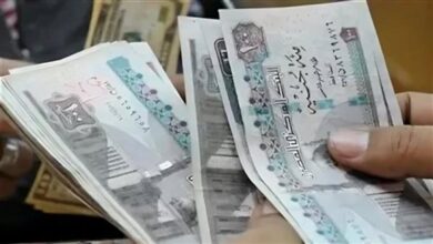 منحة المولد النبوي